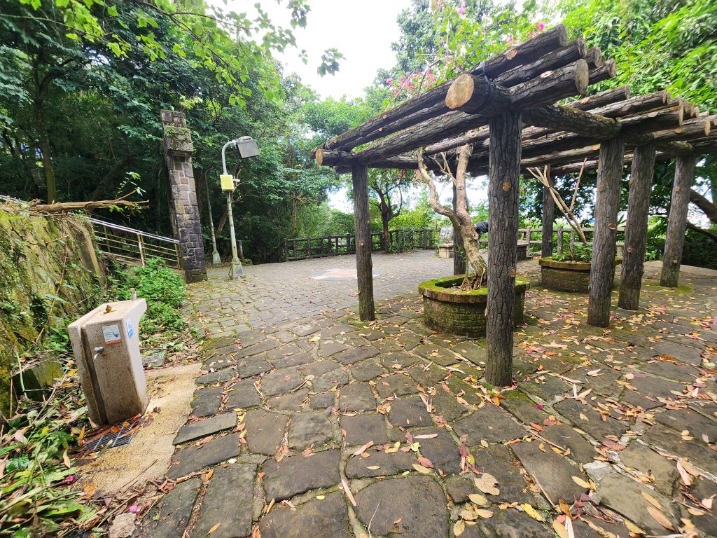 20251109四獸山步道_2961766