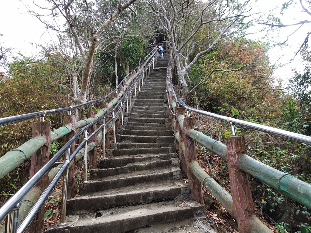 旗尾山步道（小百岳）_1323685