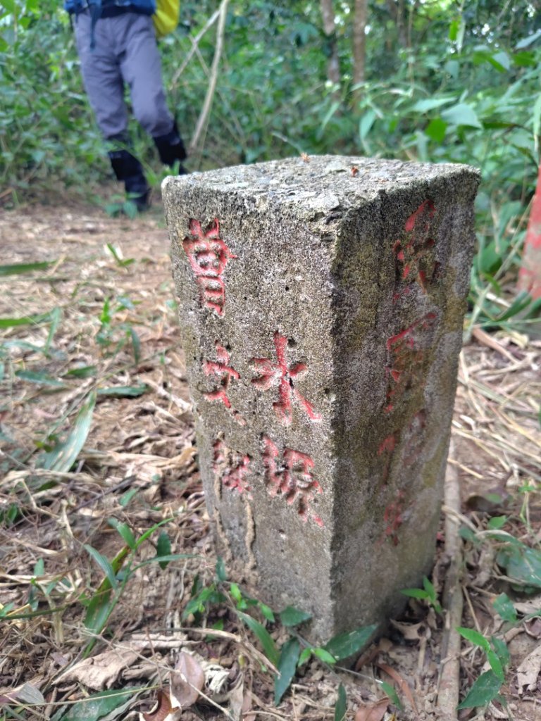大棟山系南段 水利古道西口 上 竹高崙山 連走 鳥子嶺 坑仔內山 大崖山 下 龍目井農場_2953148