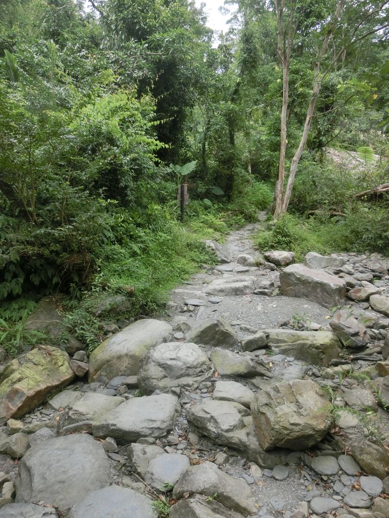 松羅國家步道_374139