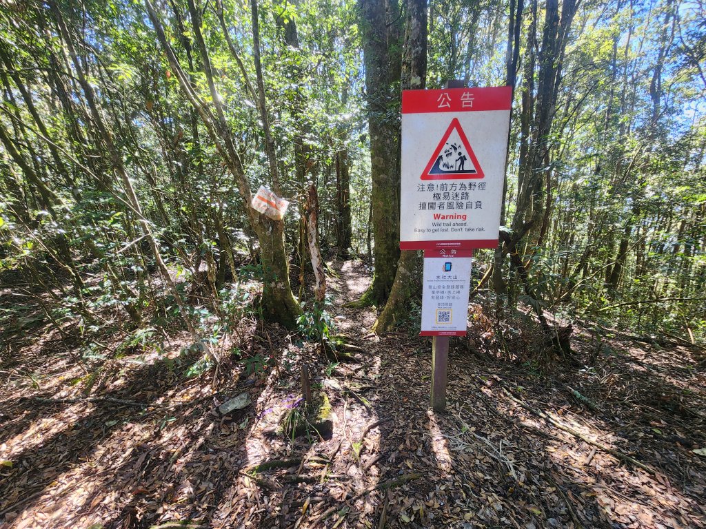 20250216水社大山潭南線_2746121