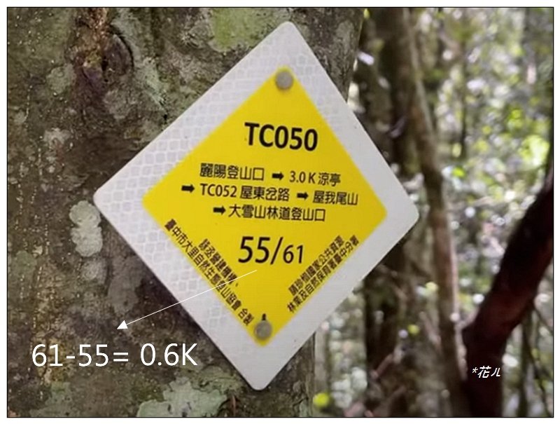 屋我尾山 北登山口 (大雪山林道31.3K)_2985520