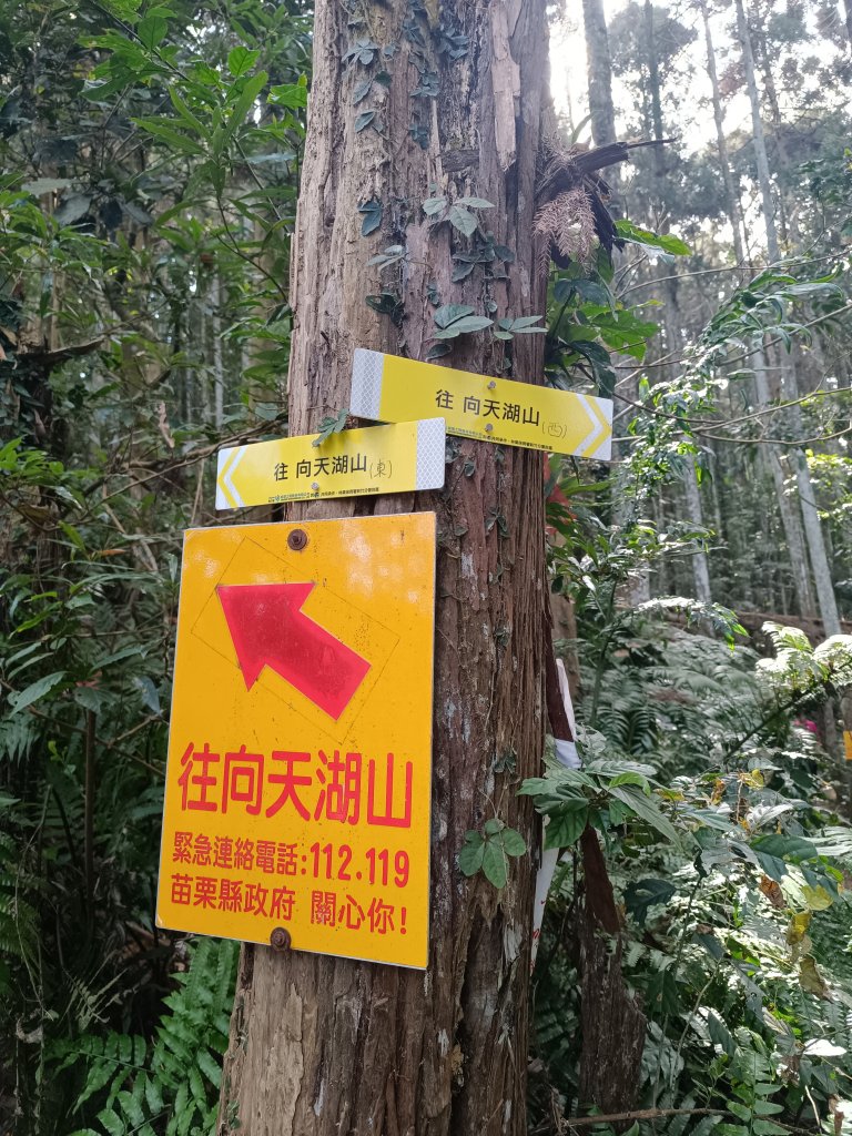 向天湖山_2984710