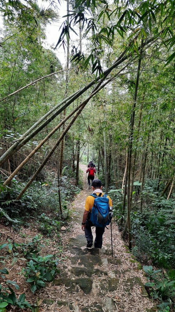 《雲林》全程陡陡｜華山10-5號步道上雲嘉大尖山20220306_1631118