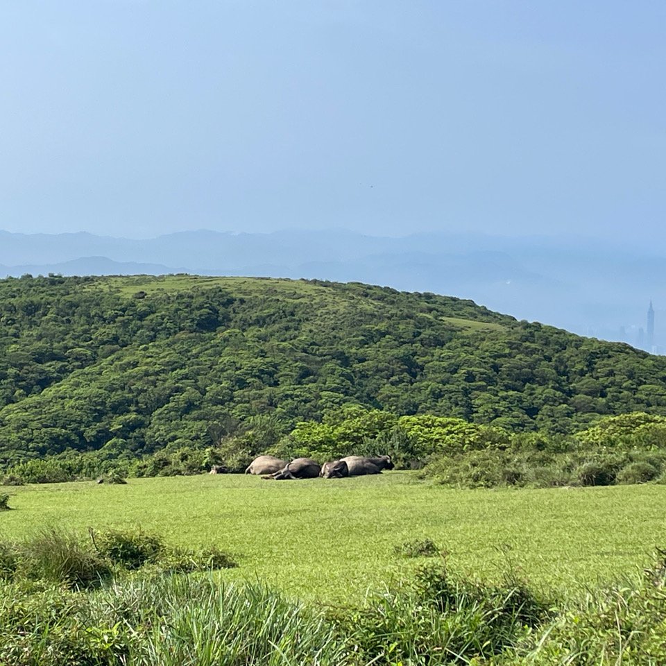 陽明山東西縱走（12連峰）封面圖