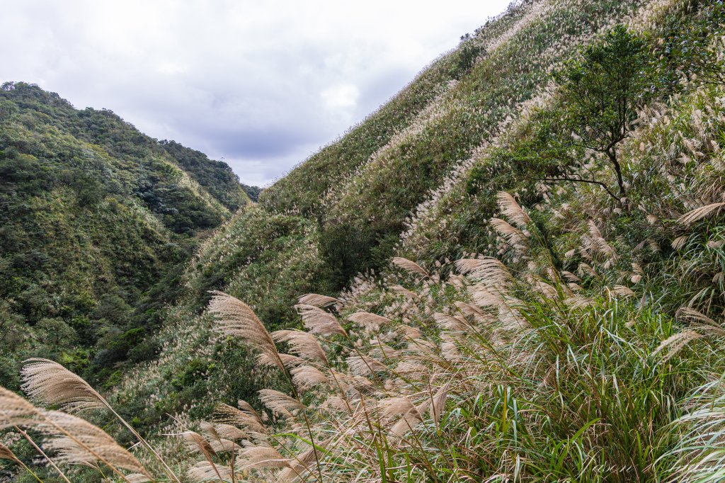 桶後越嶺_2950112