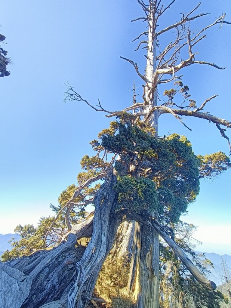 2022/12/26郡大山_1971575