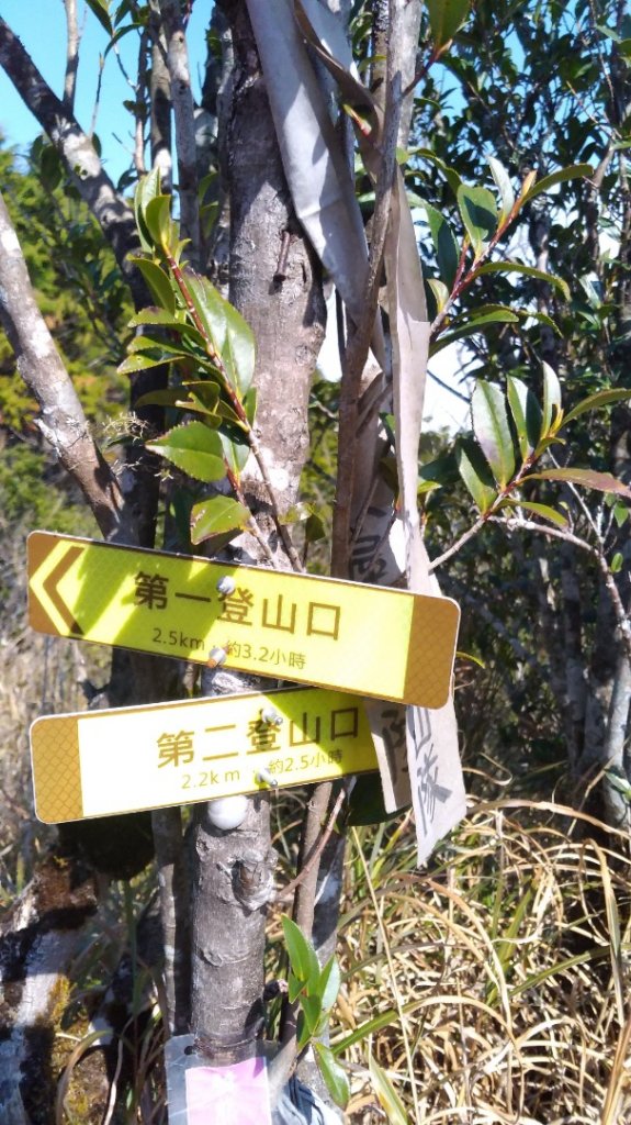 塔魔巴縱走_871374