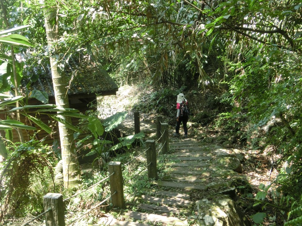 二叭子植物園步道_657228