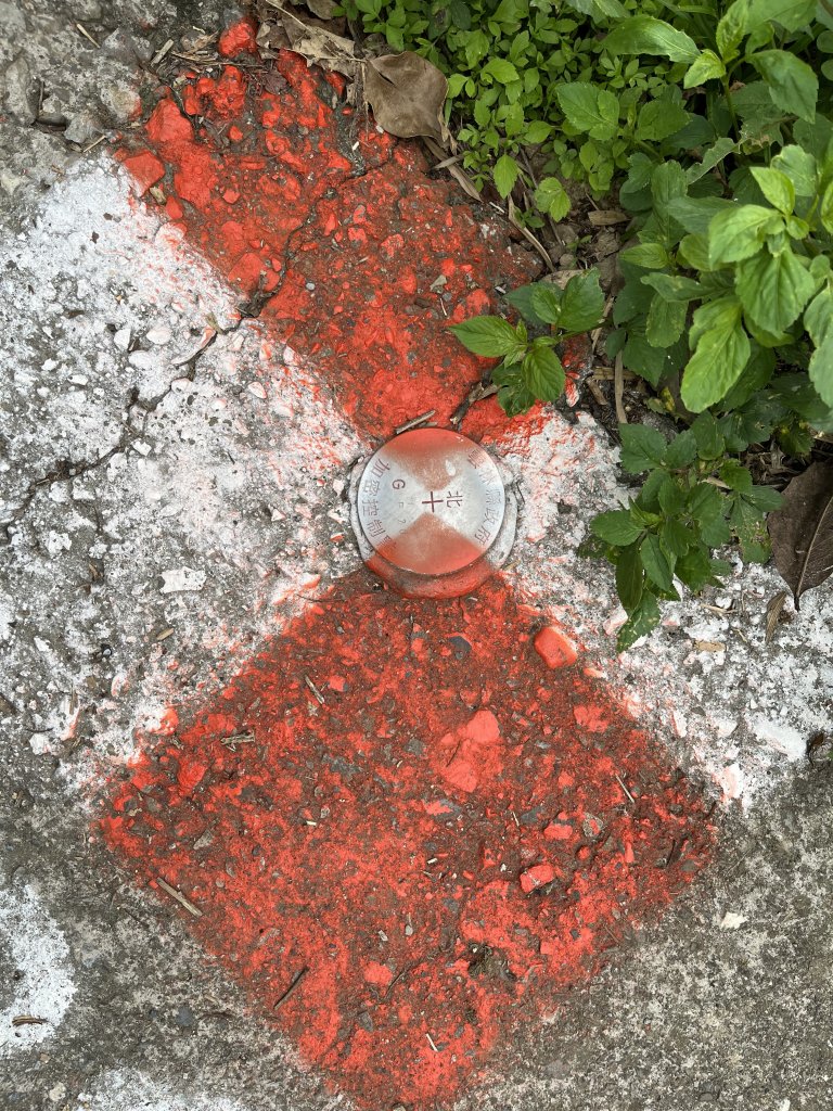 2023_0429_挑筍古道_2138211