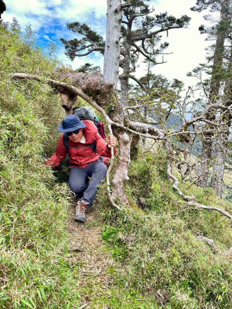 能高安東軍 被水鹿包圍的奇幻冒險旅程_2811247