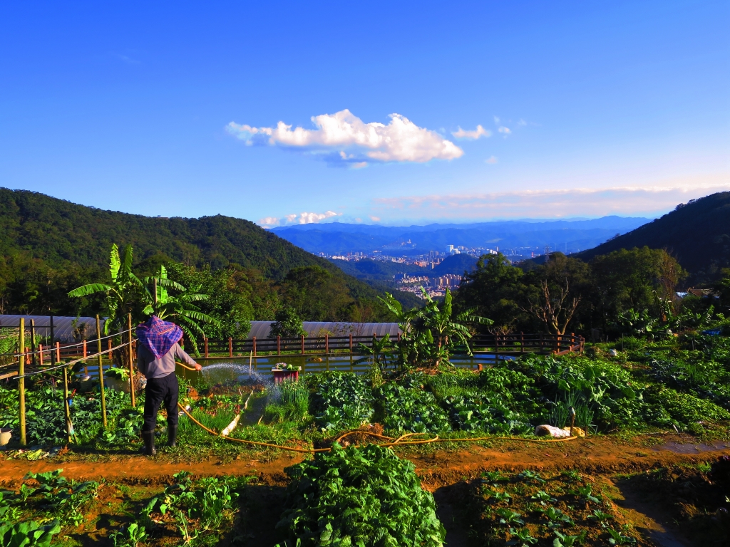 台北內湖碧山路步道_96096