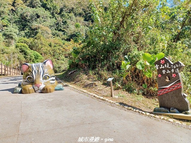 【台中和平】生態廊道。 雪山坑環線步道x巨人之手觀景點_2954036