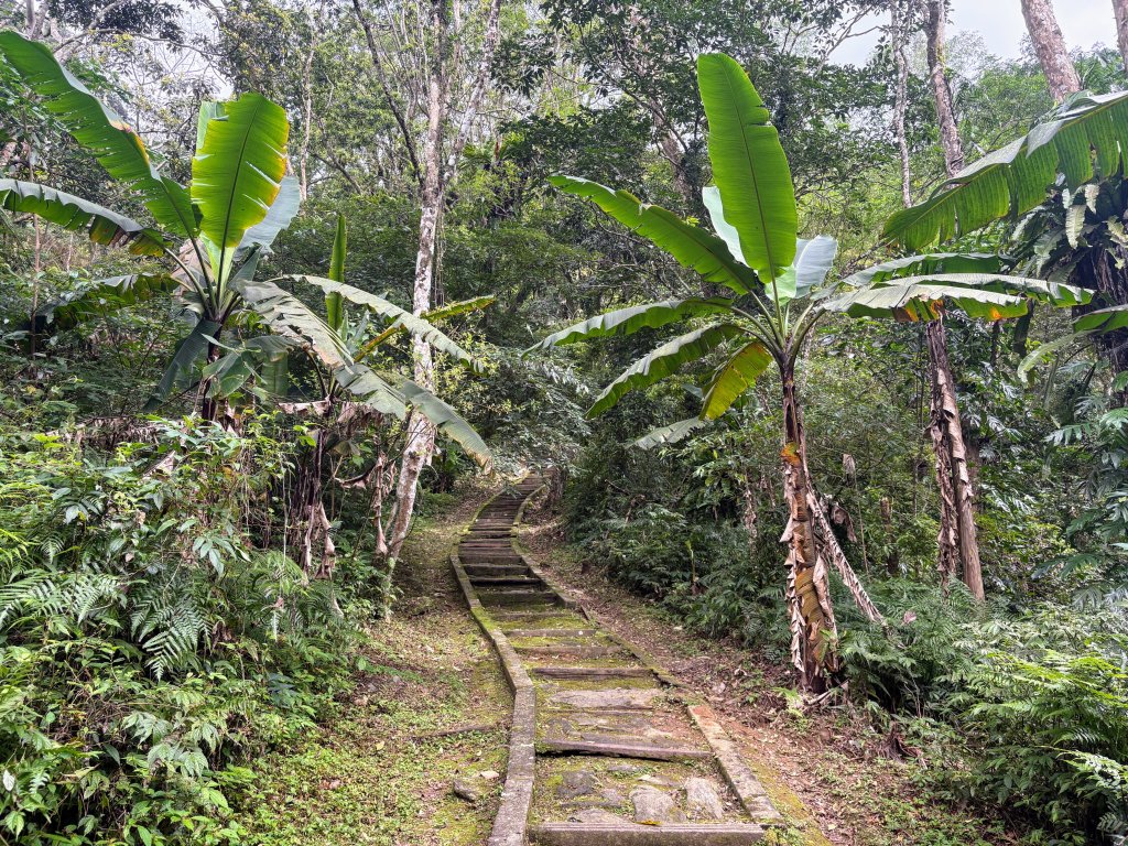 鯉魚山步道群_2728314