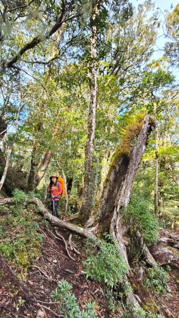 新康五天~戒茂斯進，出瓦拉米_2949615