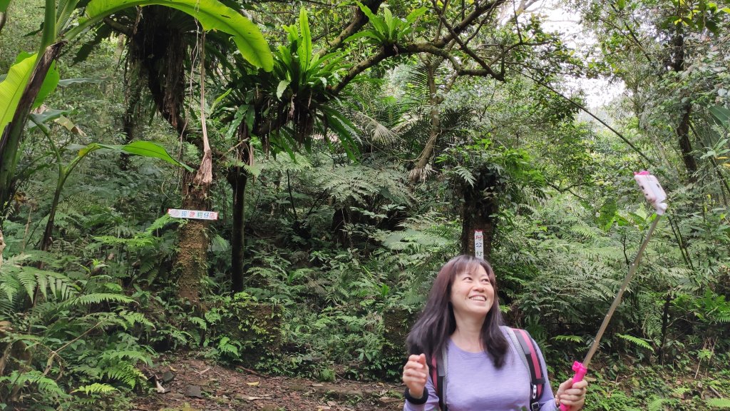 今天去Party(打鐵寮古道)_869968