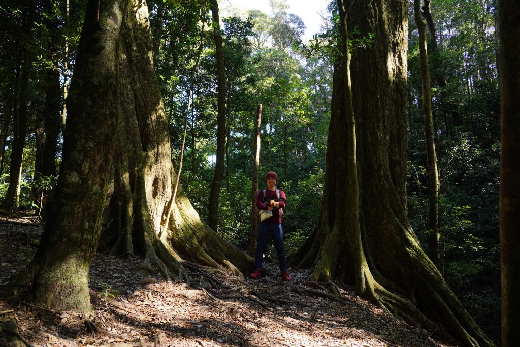 台中和平區 鳶嘴西稜下稍來南稜_1968103