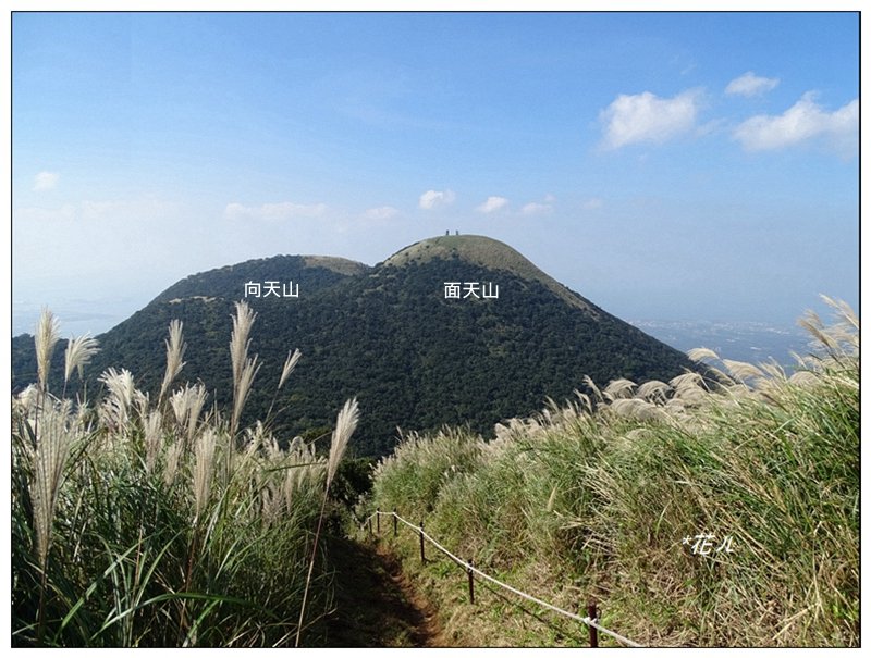 面天山、向天山步道封面圖