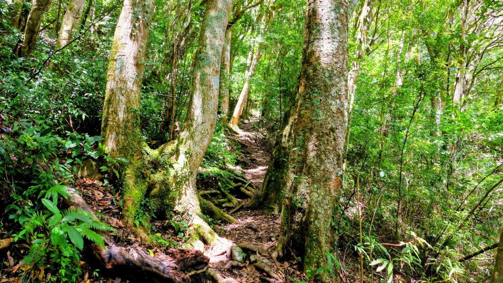 李棟山莊_2882496