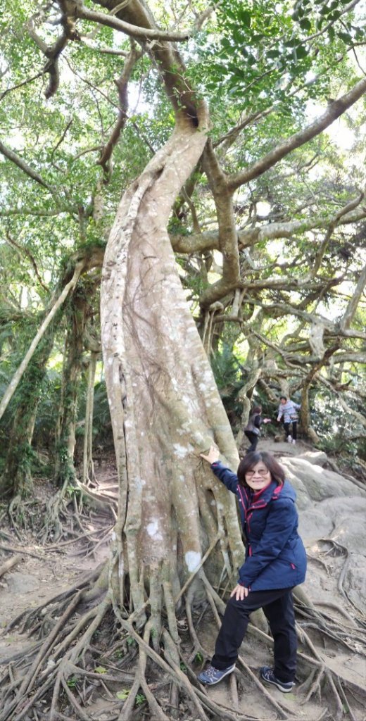 台東關山封面圖