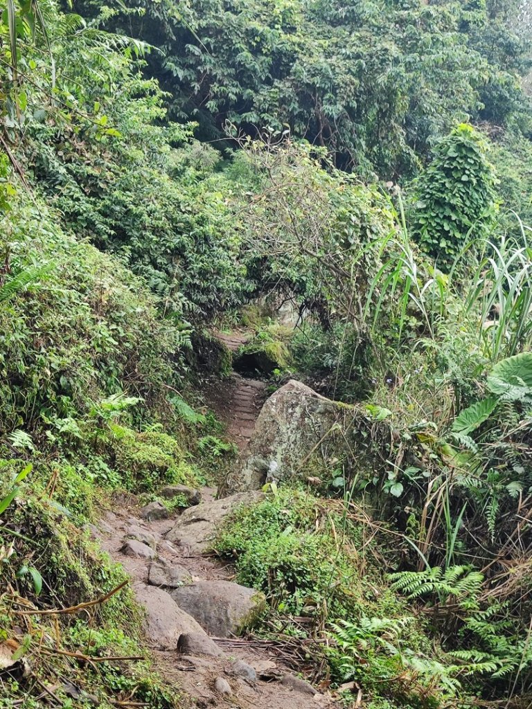 馬那邦山_2666821