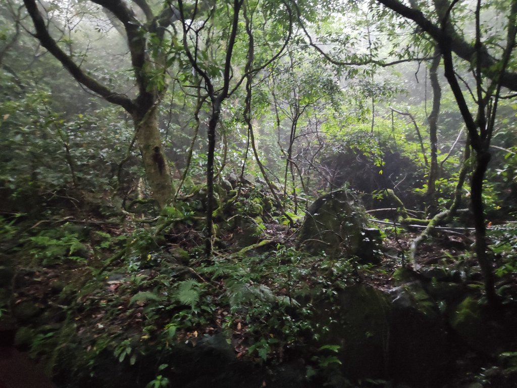 臺北大縱走第一段：關渡至二子坪_2790240