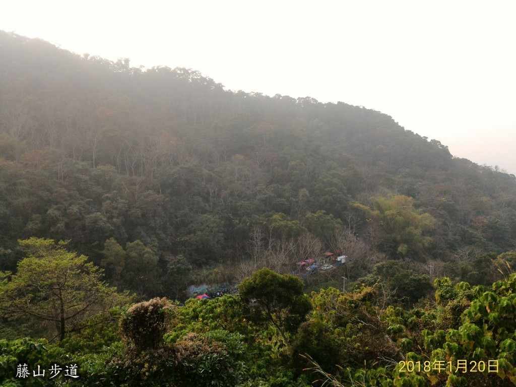 藤山步道_252973