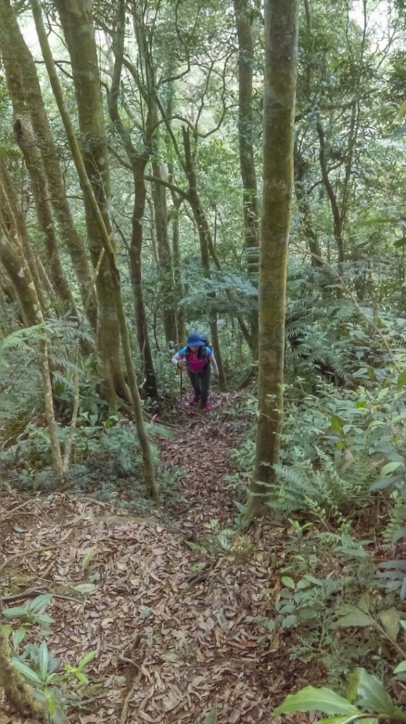 志繼山，東眼山（小百岳），拉卡山O型走_594786