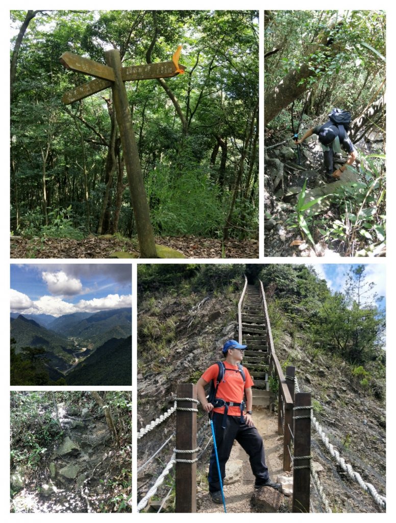 步道巡訪員 l 白毛山步道7月巡訪日誌封面圖