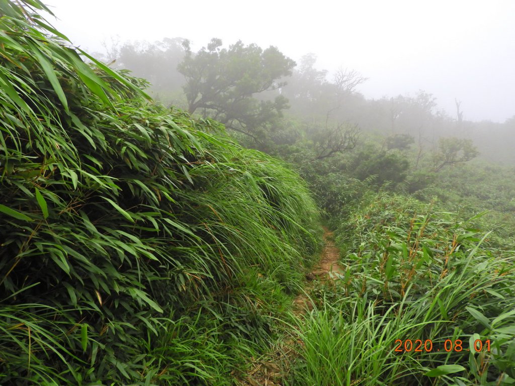 宜蘭 礁溪 三角崙山_1053314