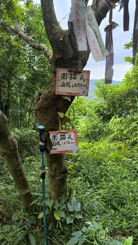 2024-06-15_心在拱北殿_2526990