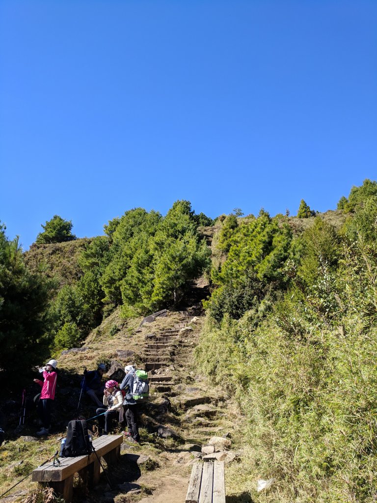 登鹿林麟趾遠眺玉山群峰_472454