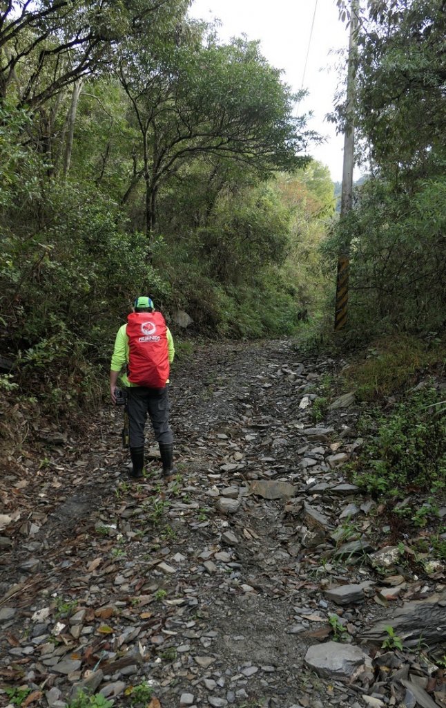 北萬大山縱走武令山封面圖