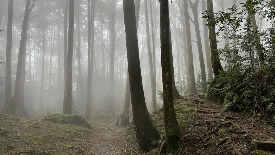 20240825小百岳稍來山封面圖