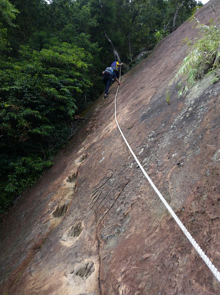 五寮尖 O 型之旅_396862
