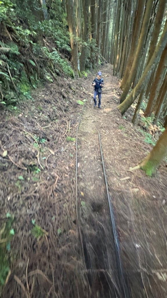 林鐵遺跡_2878123