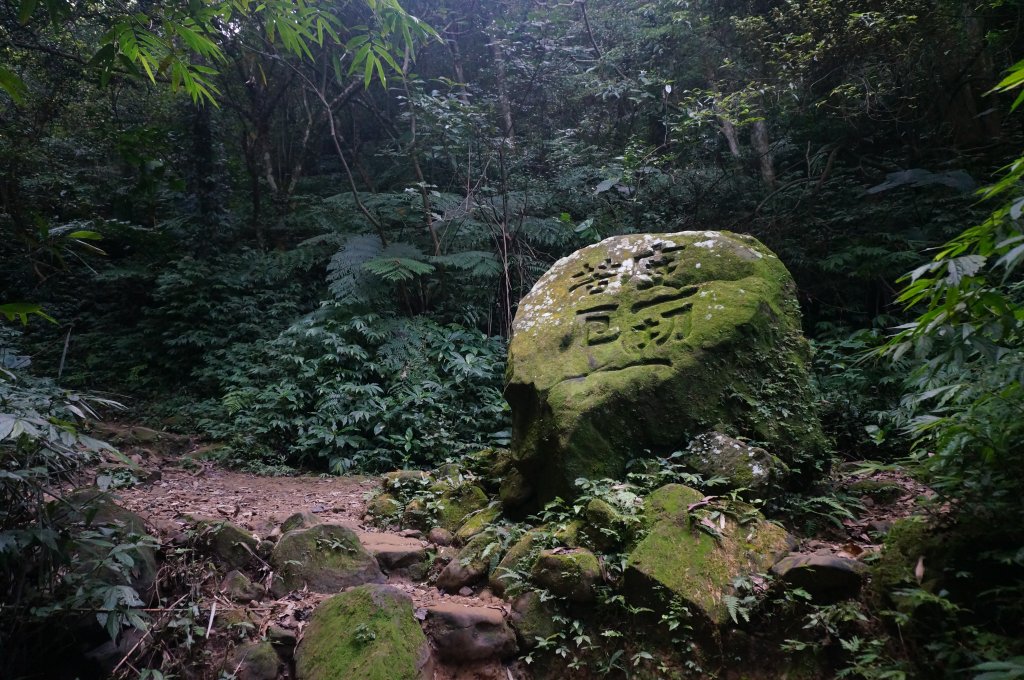 桃園石門山+小粗坑封面圖