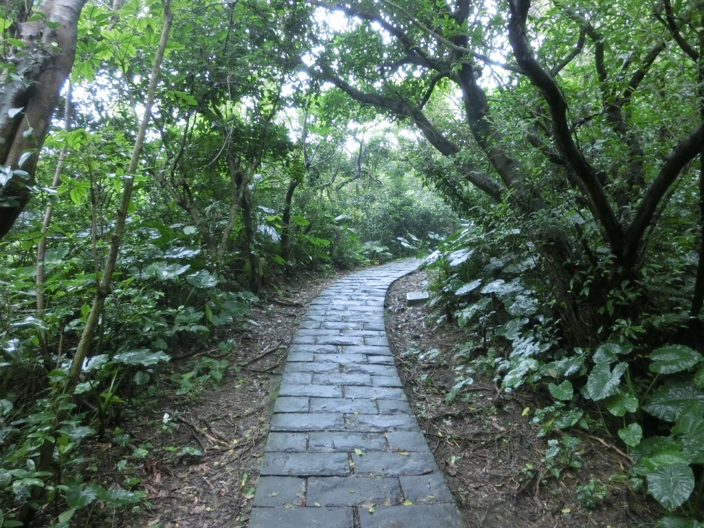 八斗子潮境公園．望幽谷_91766