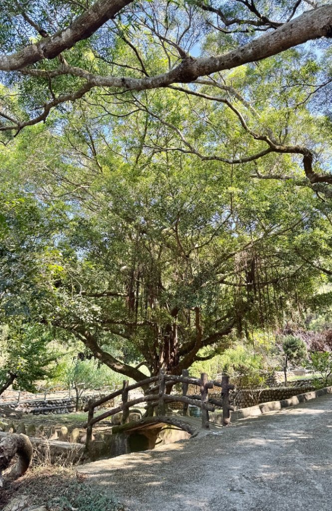 鐵砧山(小百岳#38)與桂花泉登山步道_2934524