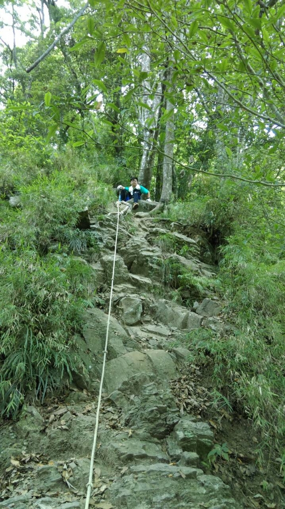 20150614泰安鄉虎山_27487