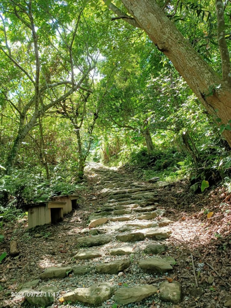 鯉魚山遠眺步道(北路)_1465907