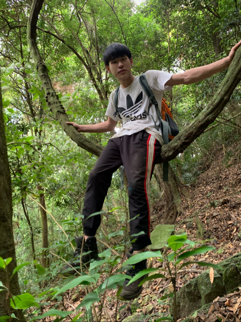 百川山2020/7/7_1027862