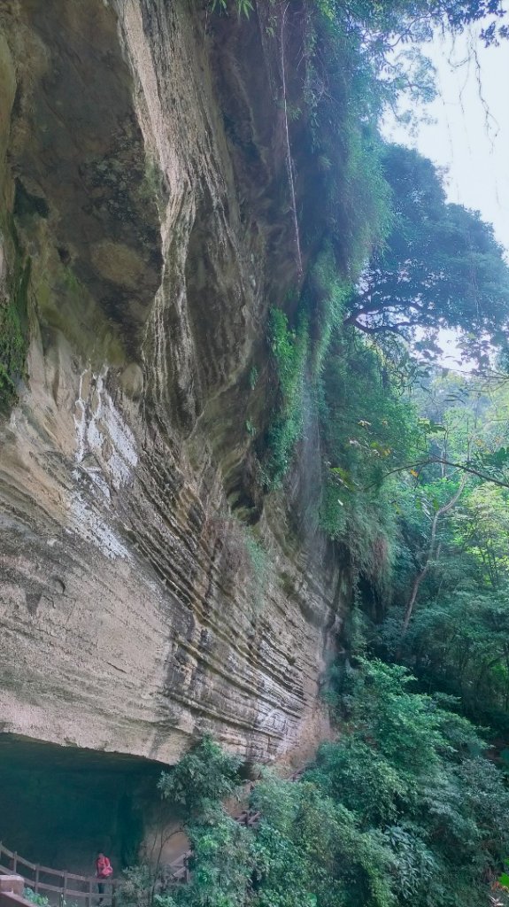 雲潭瀑布步道/青年嶺步道/燕子崖/蝙蝠洞/野薑花溪步道/綠色隧道 環狀_1779293