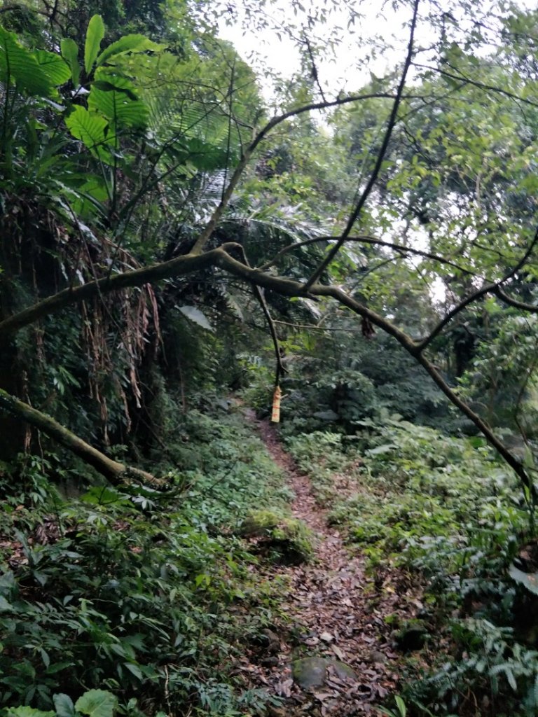 小百岳:金面山_1619356