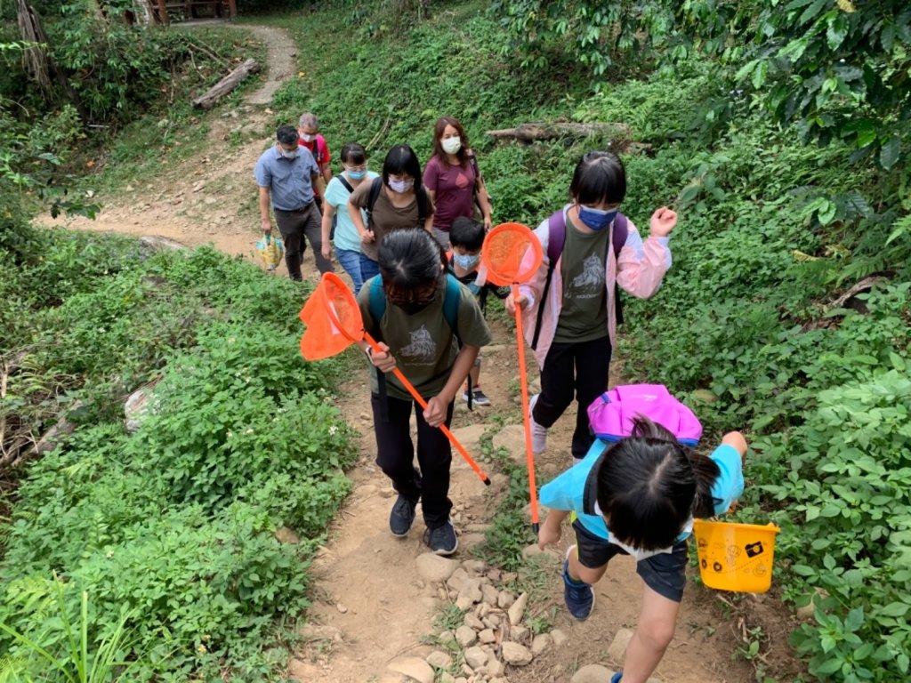 蝴蝶谷瀑布（谷關七雄）_1485981