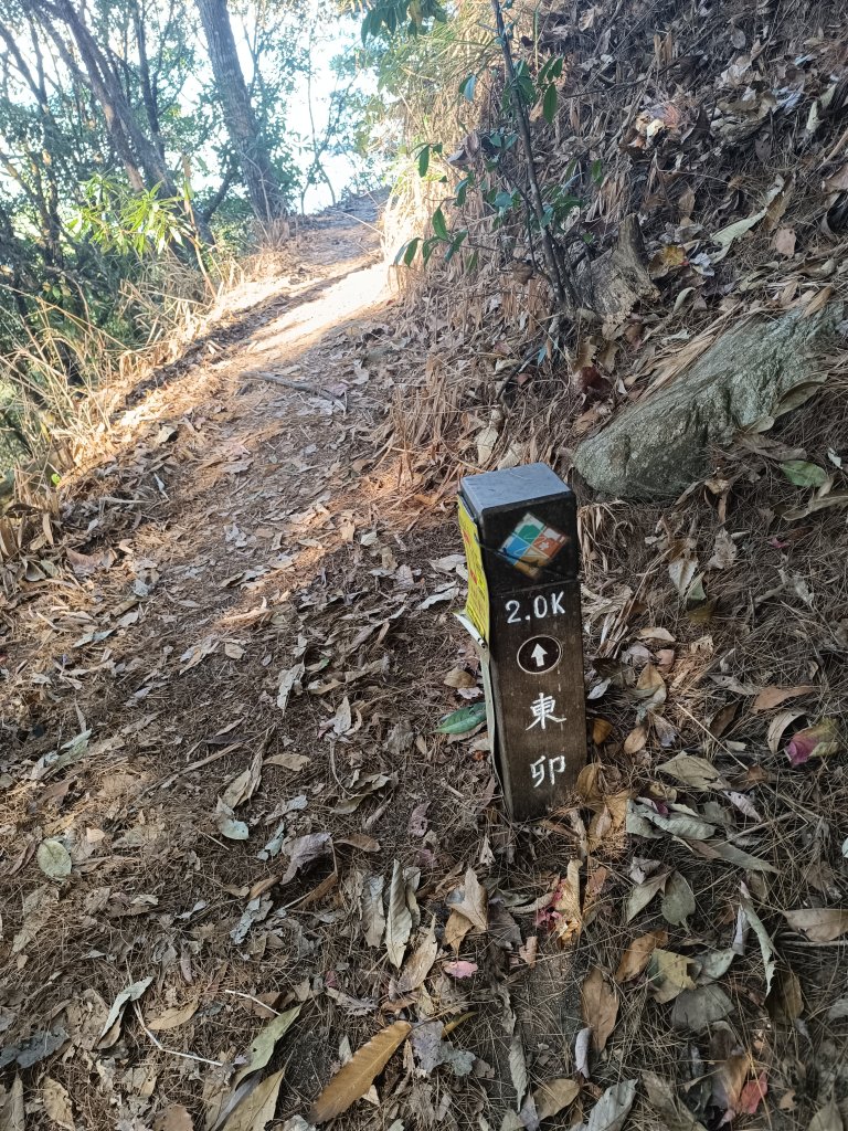 東卯山_2972835