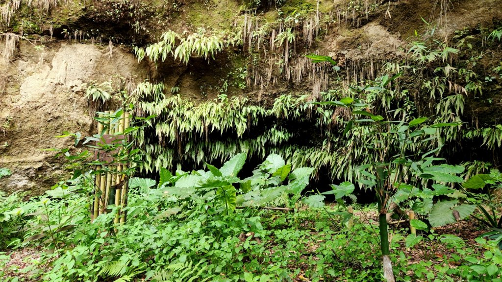 南投松柏坑山，登廟步道，賞茶步道，七星陣地公園，日月潭，彰化石牌坑古道_1801349