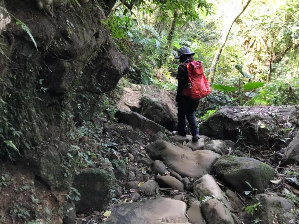 五寮尖上大風狂_448995