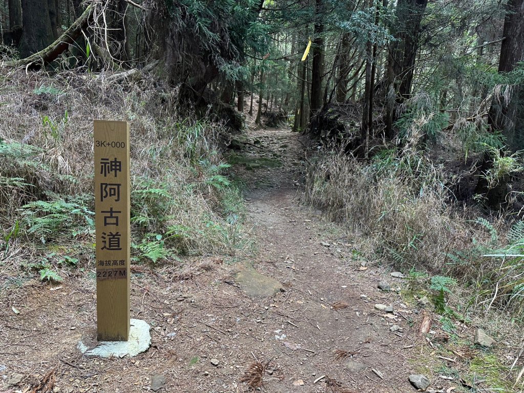 神阿古道縱走_2420724