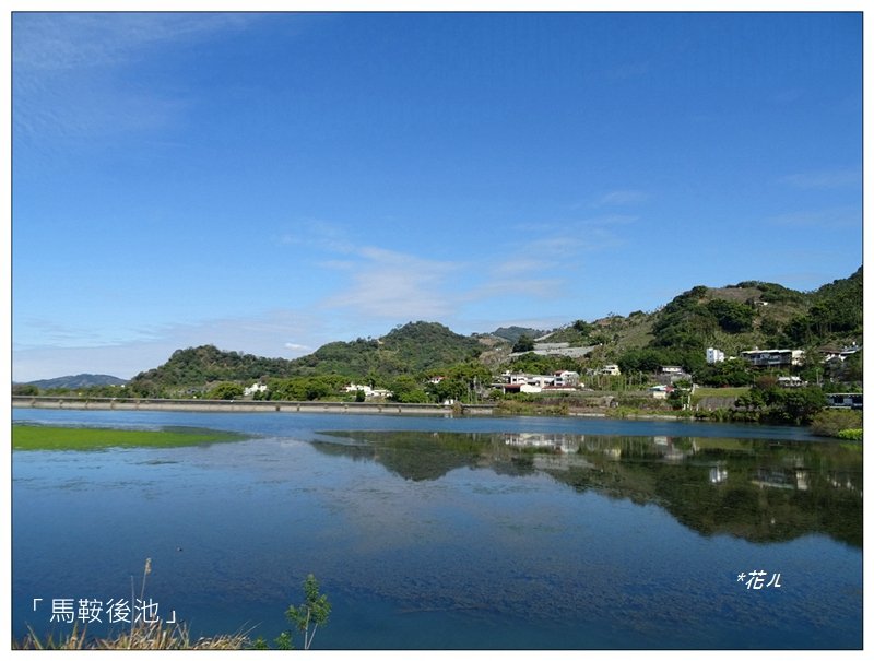 東勢/馬鞍後池步道賞梅_2001911